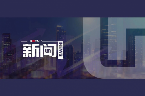 AI革新加速，尊龙集团数码2024全年毛利额营收逆势双升